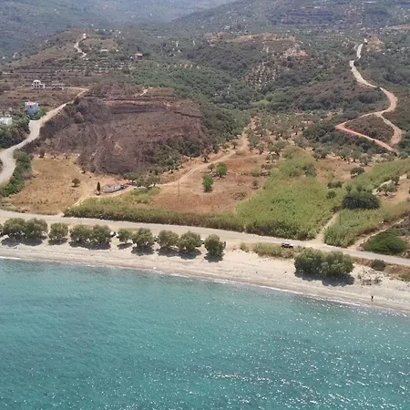 Christina's House Trochalia *