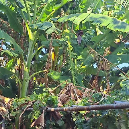 Christina's House Trochalia Apartment *