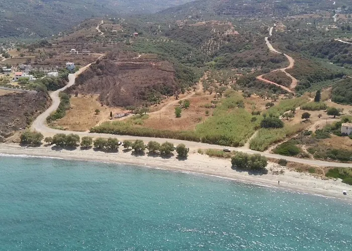 Christina's House Trochalia *