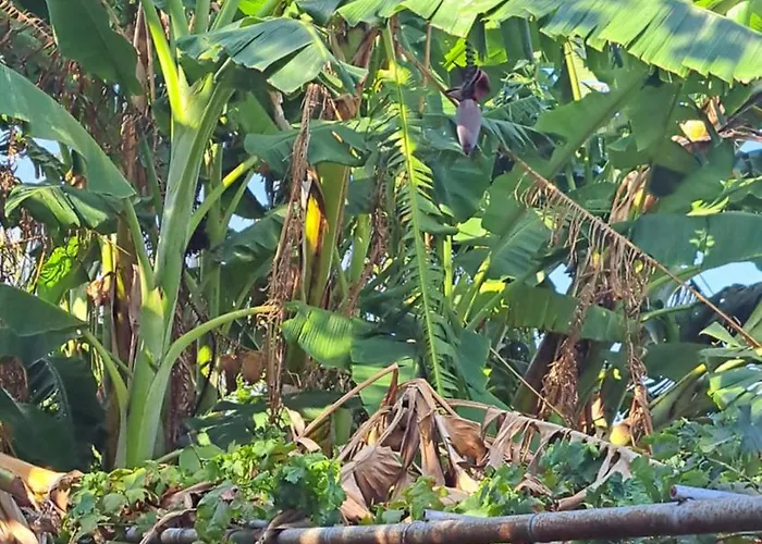 Christina's House Trochalia Apartment *